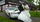 Hochzeit Limo-Day MA 21