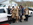 Geburtstagslimo Limo-Day MA 1